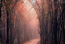 里尔迎全明星赛关键赛，今晨迎来里程碑，质疑声四起，心理建设被强调(挺住意味着一切里尔克)-ayx爱游戏彩金