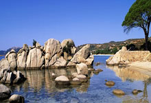 里尔迎全明星赛关键赛，今晨迎来里程碑，质疑声四起，心理建设被强调(挺住意味着一切里尔克)-ayx爱游戏彩金